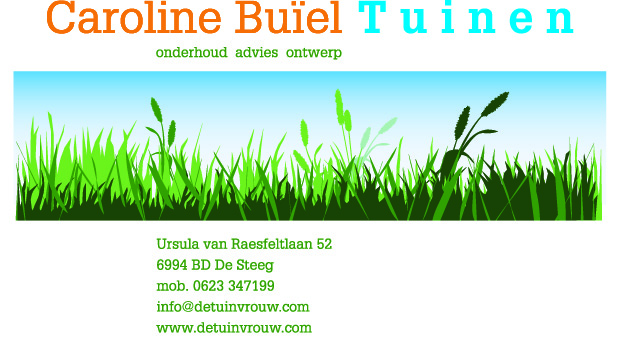 http://www.faxgids.nl/_images/upl/429573/CaroDEF2010.jpg