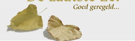 De afbeelding “http://www.delaatsteeersc.nl/images/link_03.gif” kan niet worden weergegeven, omdat hij fouten bevat.