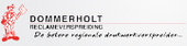 Logo Dommerholt Reclameverspreiding