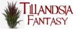 Logo Tillandsia Fantasy