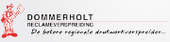 Dommerholt Reclameverspreiding, Hardenberg