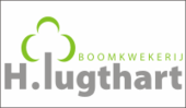 Boomkwekerij H. Lugthart, Hattemerbroek
