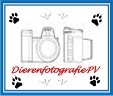 Dierenfotografie PV, Hellevoetsluis